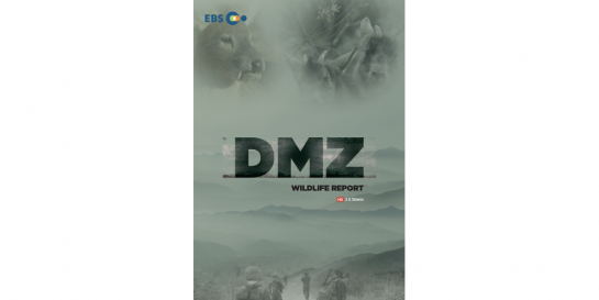 야생리포트 DMZ 65년(Documentary) 이미지