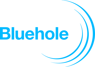 Bluehole Inc. logo image