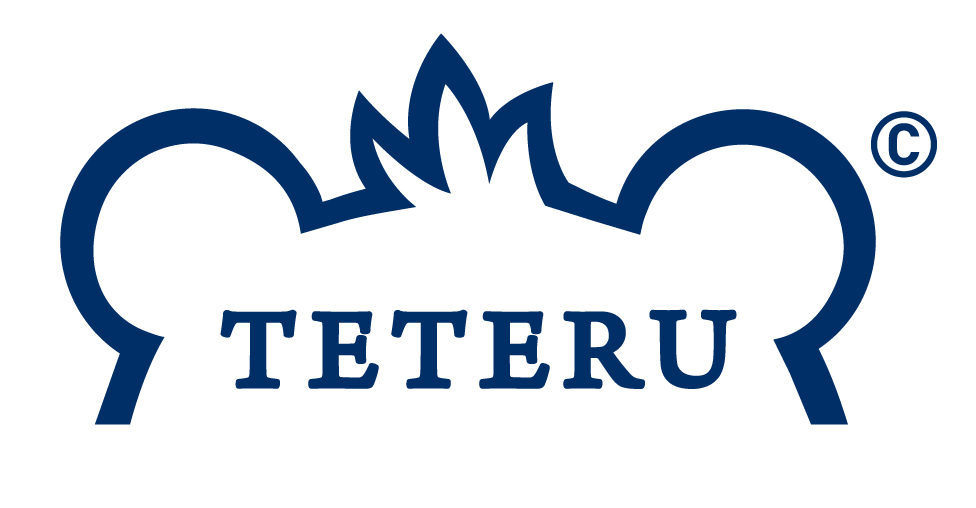 TTR CO., LTD. logo image