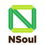 Nsoul logo image